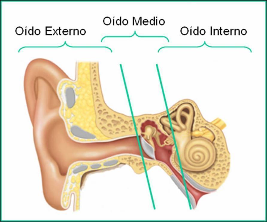 Cuidado y limpieza del oído